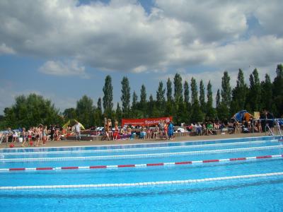 Foto zur Meldung: Jugend trainiert Schwimmwettkampf am 24.06.2010