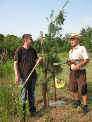 Ein immergrüner Baum für Jürgen Sielaff - ABÜ-Mitglieder schenkten dem SVV-Mitglied eine Tränenkiefer