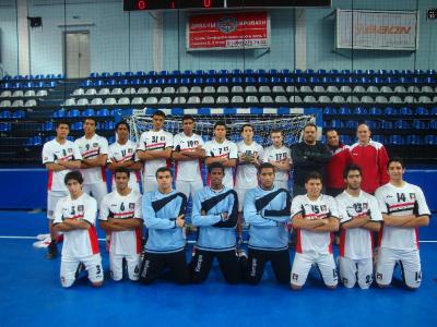 Meldung: Handballleckerbissen in Laage