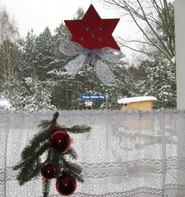 Weihnachtsgrüße aus dem Tierheim Ladeburg (Bild vergrößern)