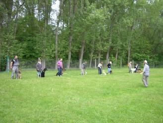 Einladung zur alljährlichen Hundeschau zum Tarthuner „Wöhlfest“ (Bild vergr&ouml;&szlig;ern)