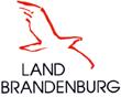 Neue elektronische Bekanntmachungsplattform des Landes Brandenburg (Bild vergrößern)