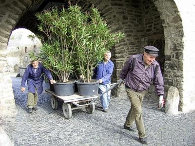 Egelner Wasserburg rüstet sich für den Besucheransturm (Bild vergr&ouml;&szlig;ern)