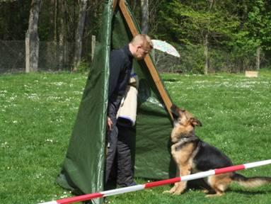 Prüfung auf dem Hundeplatz im Tarthuner Wöhl (Bild vergr&ouml;&szlig;ern)