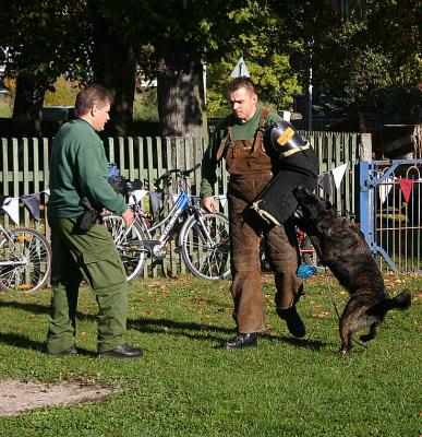 Kommissar Rex zu Gast bei Sperlingskindern (Bild vergr&ouml;&szlig;ern)