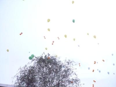 Foto zur Meldung: Erste Luftballonpost eingetroffen