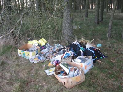 Illegale Müllablagerungen in der Landschaft (Bild vergrößern)