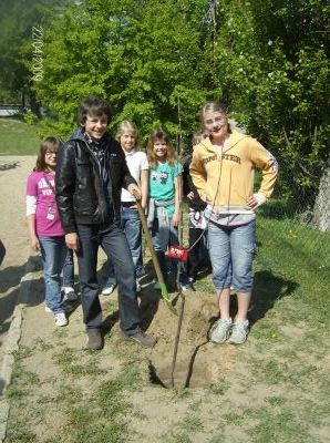 Wir haben einen Bio-Apfelbaum gewonnen! (Bild vergr&ouml;&szlig;ern)