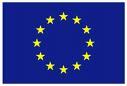 31 Vereinigungen  treten zur Europawahl an (Bild vergrößern)