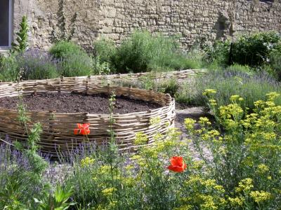 Im Burgkräutergarten entdeckt (Bild vergr&ouml;&szlig;ern)