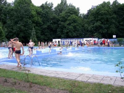 Badespass im Egelner Waldbad (Bild vergrößern)