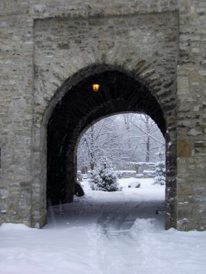 Der Winter hat Einzug gehalten (Bild vergrößern)