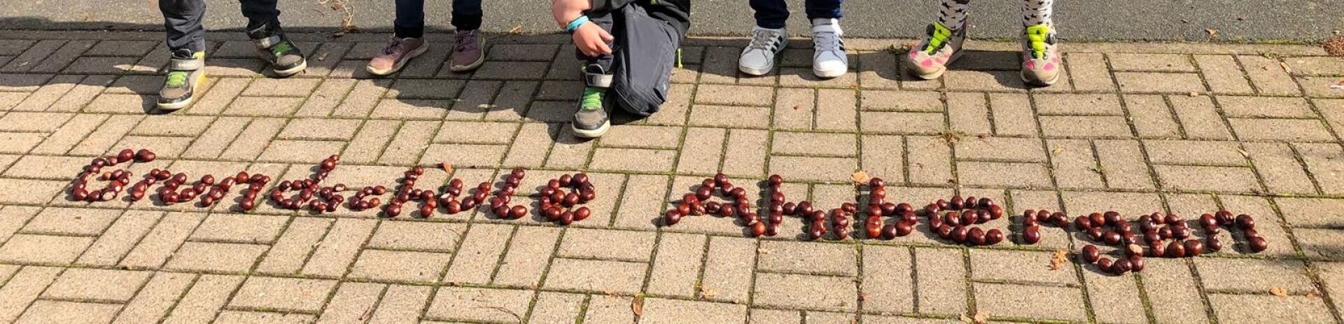 Bannerbild | zur Startseite