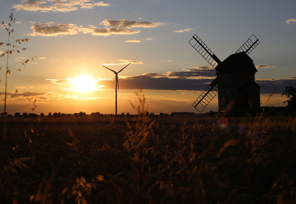 Bannerbild