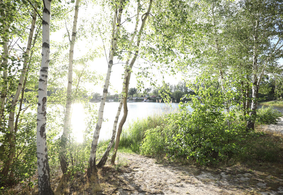 Bannerbild
