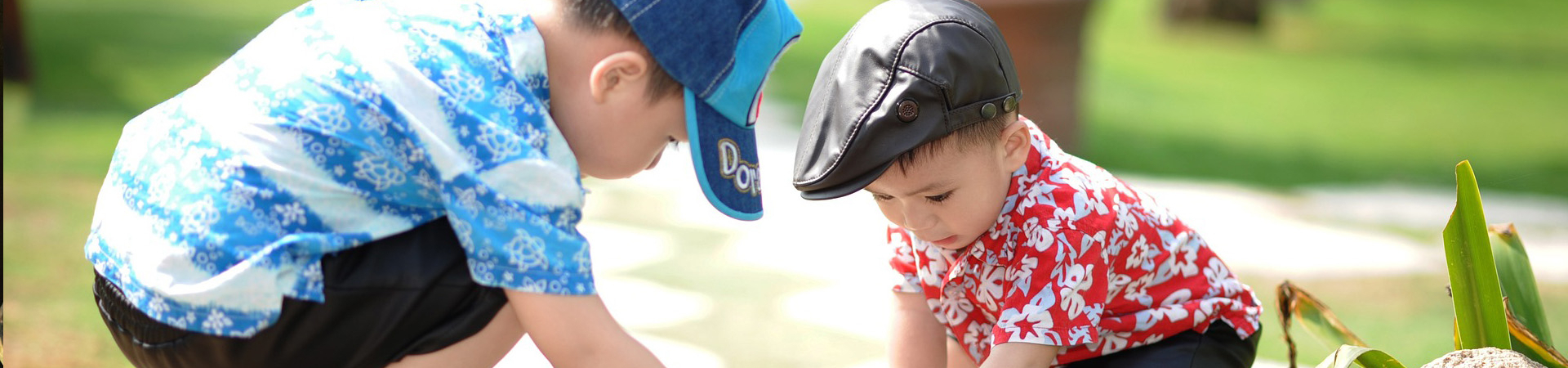 Bannerbild