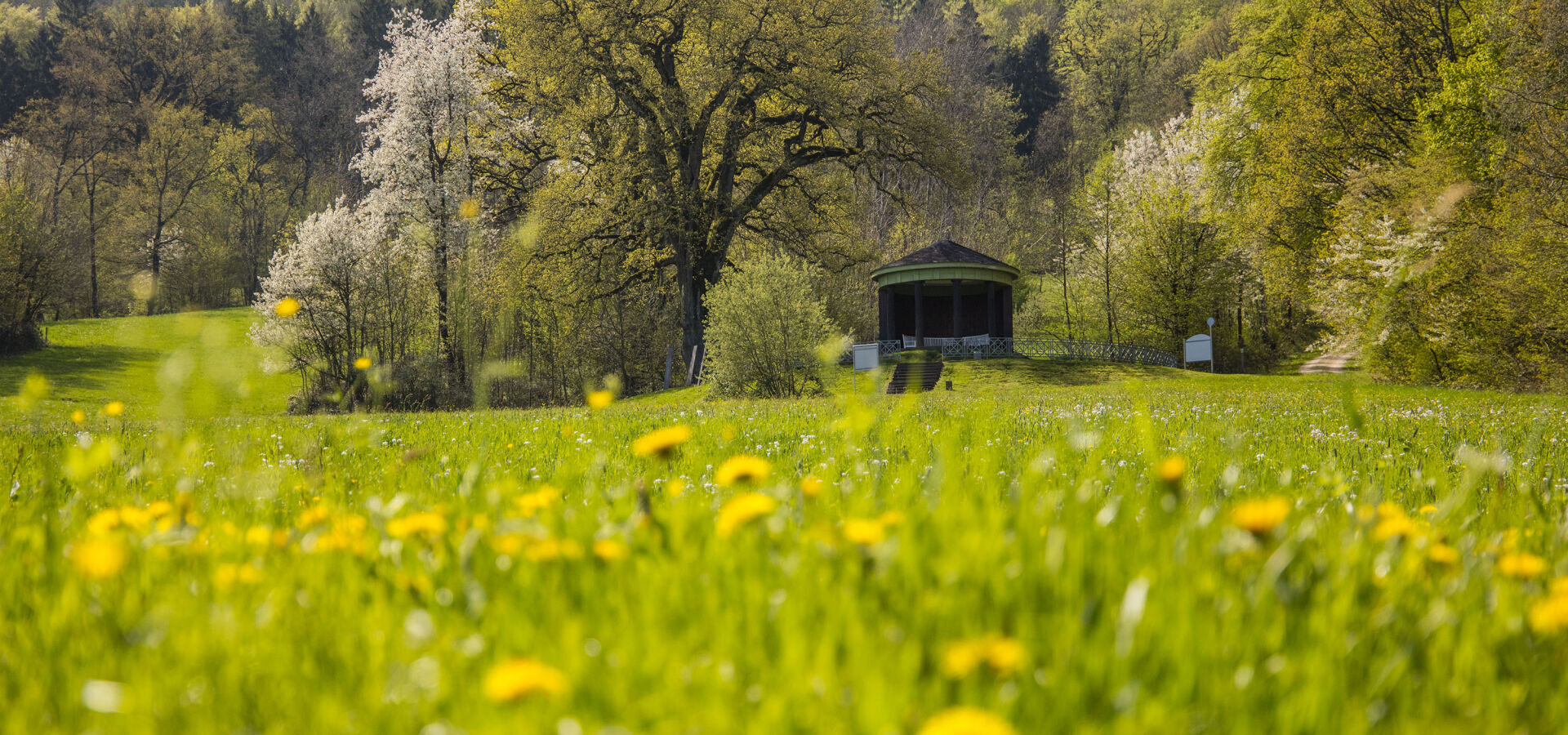 Bannerbild