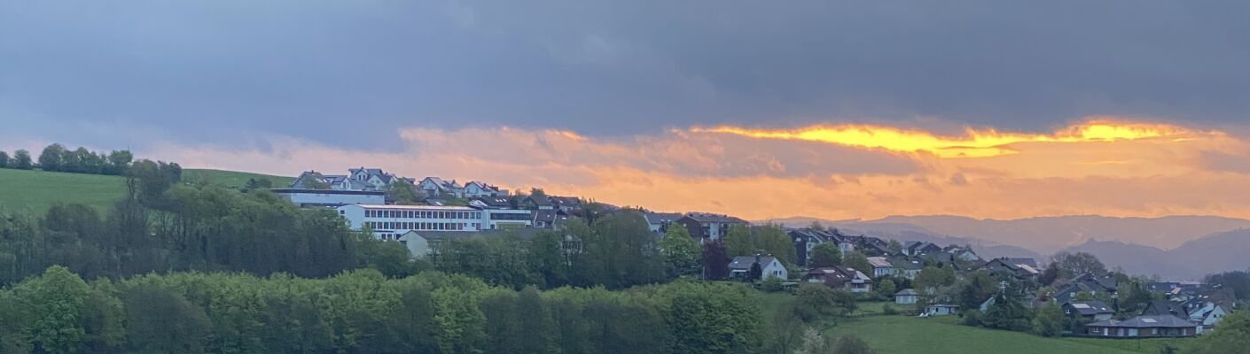 Bannerbild