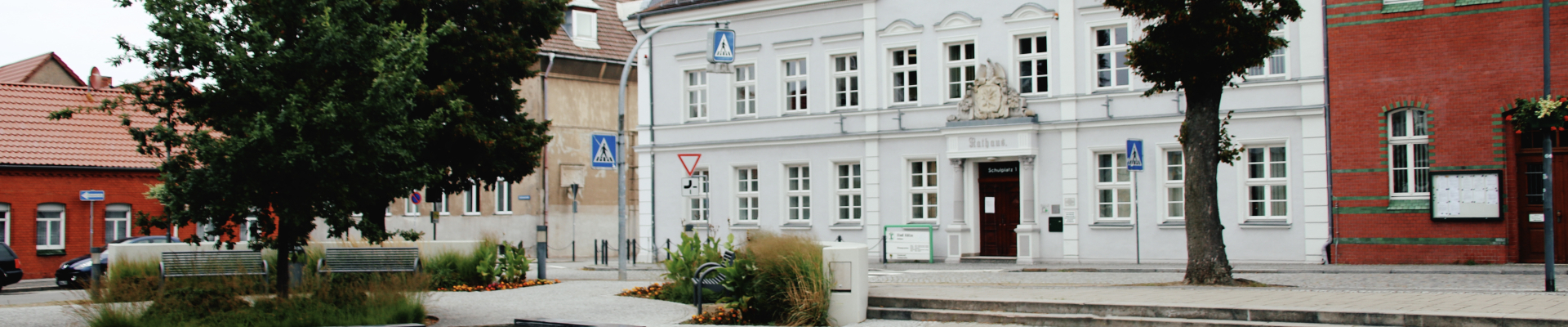 Bannerbild