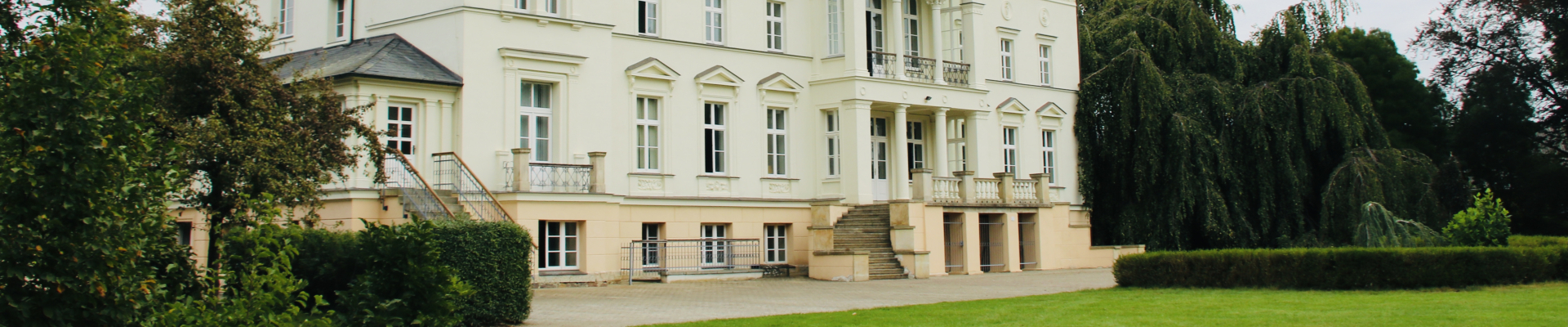 Bannerbild