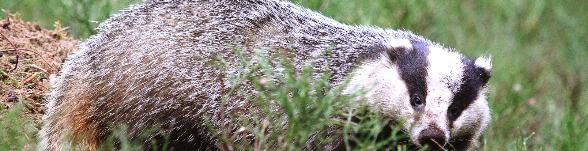 Bannerbild | zur Startseite