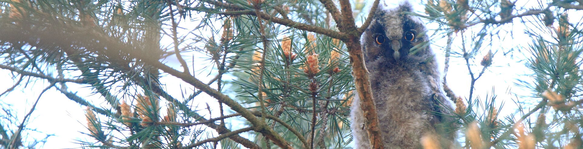 Bannerbild | zur Startseite