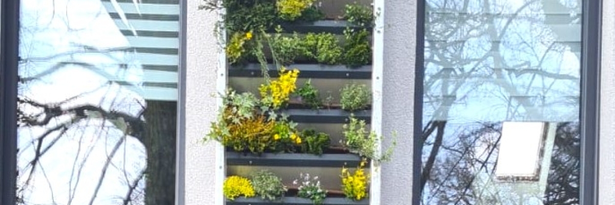 Grünfassade