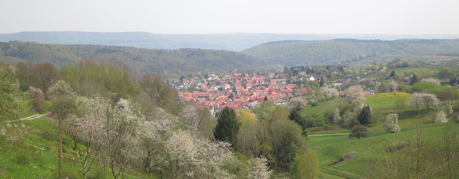 Ansicht Weißenborn Frühling