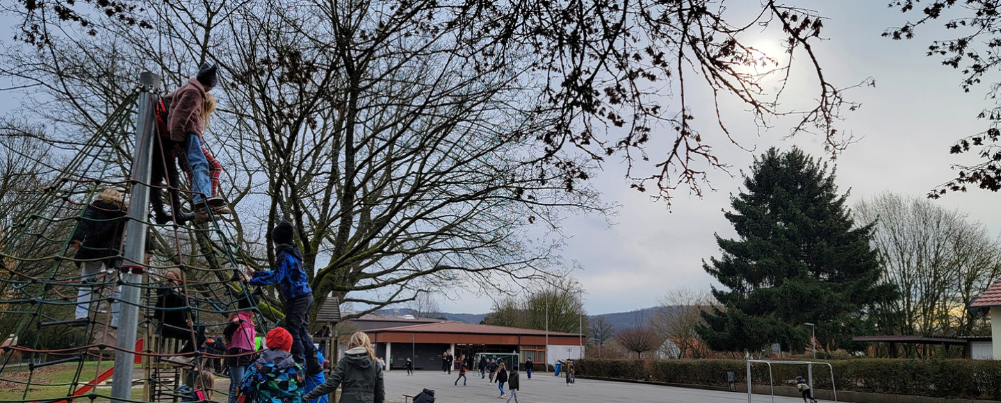 Bannerbild