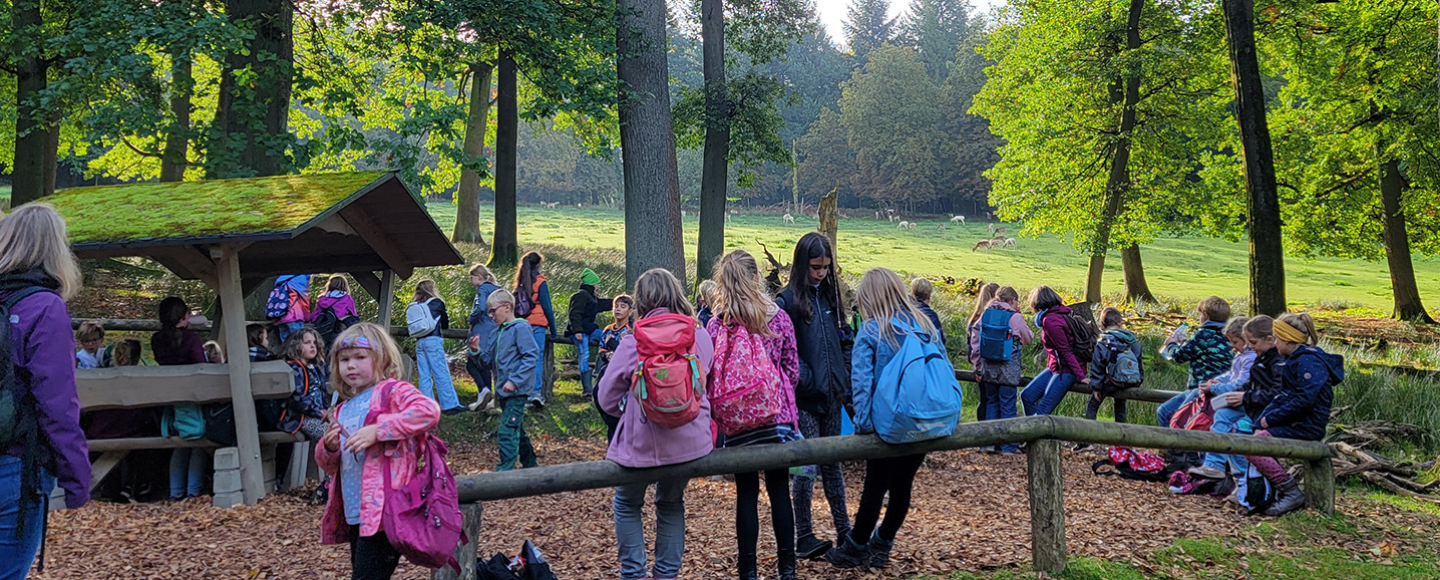 Bannerbild