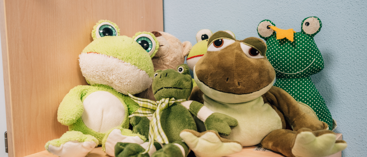 Bannerbild