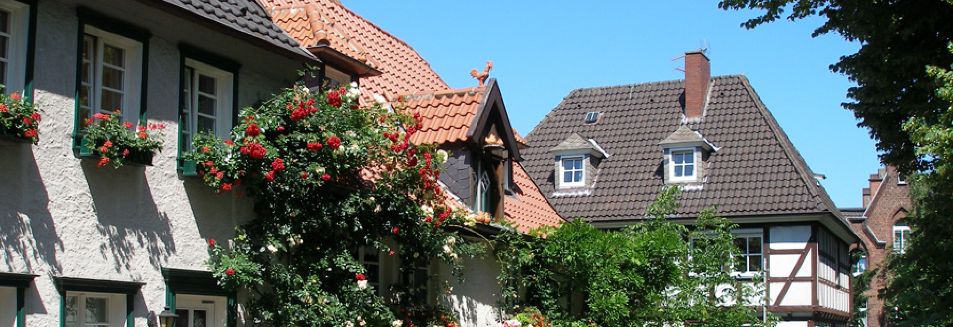 Bannerbild