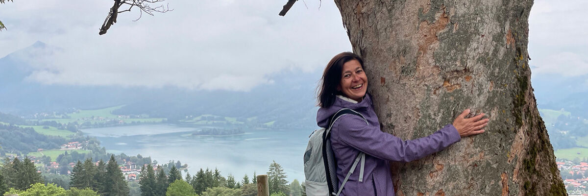 Bannerbild