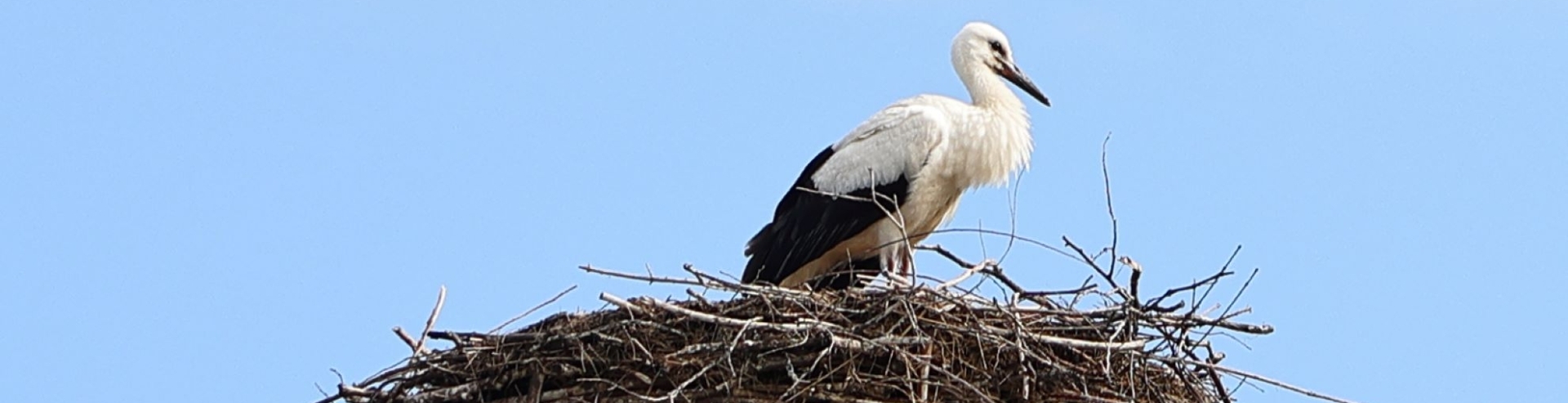 Bannerbild | zur Startseite