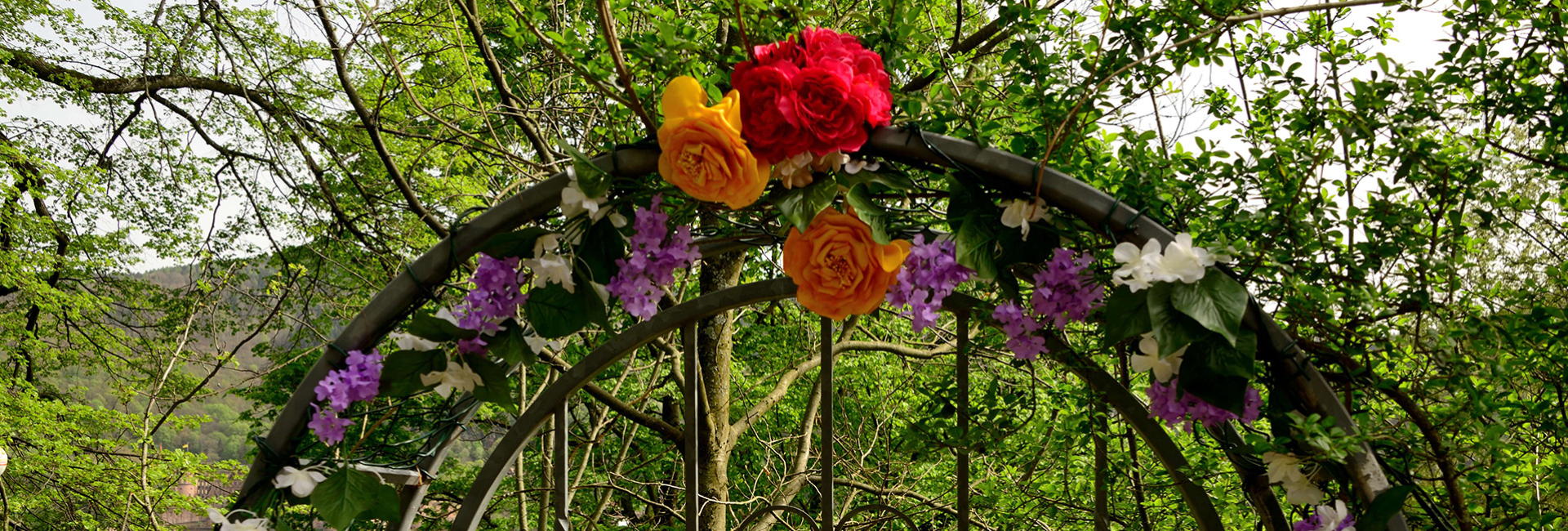 Bannerbild