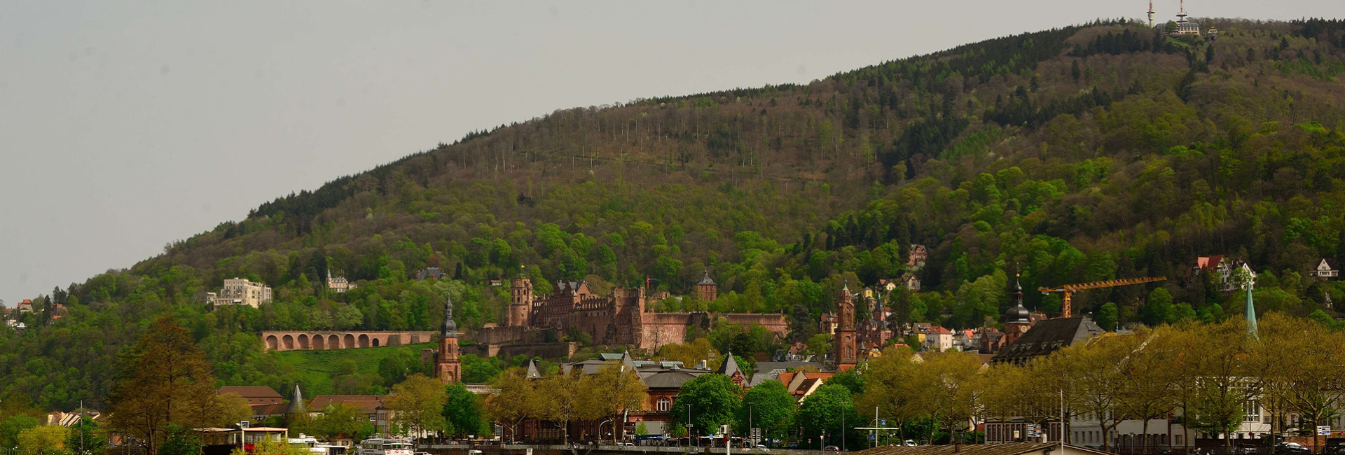 Bannerbild