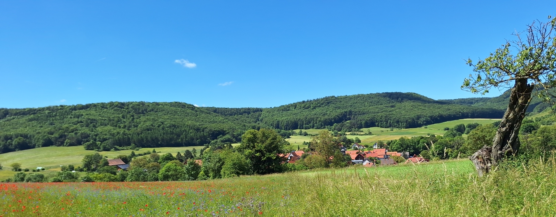 Ansicht Rambach Sommer