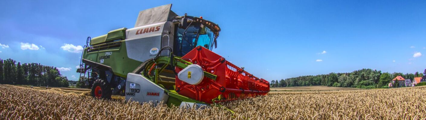 Bannerbild