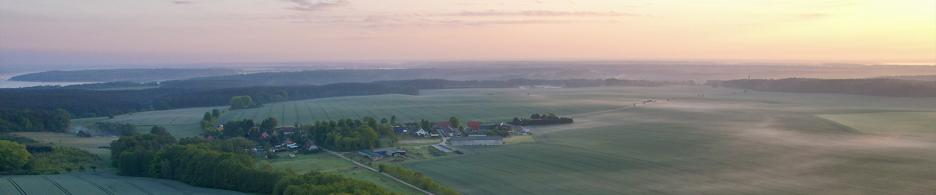 Bannerbild
