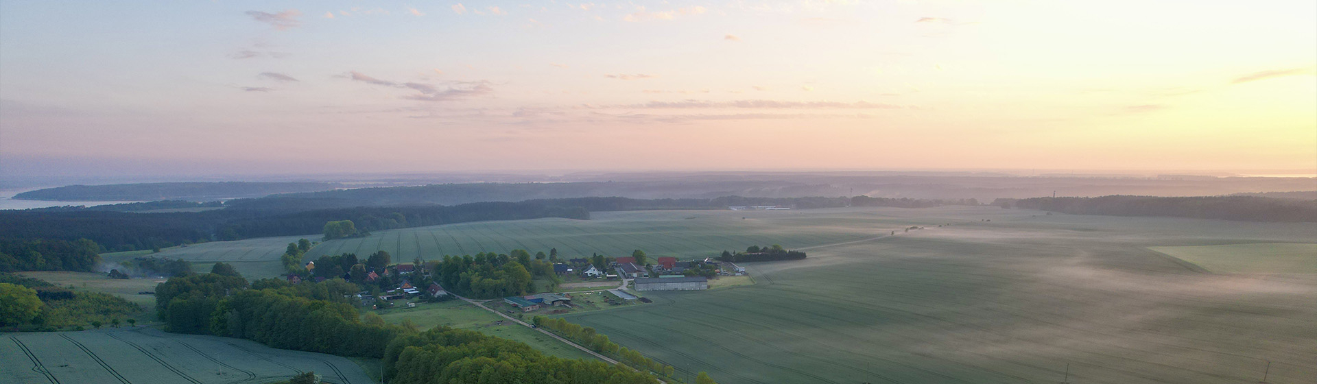 Bannerbild