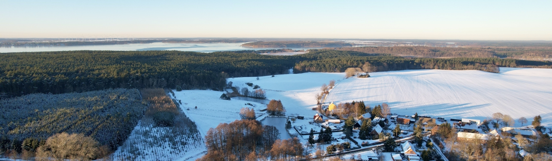 Bannerbild