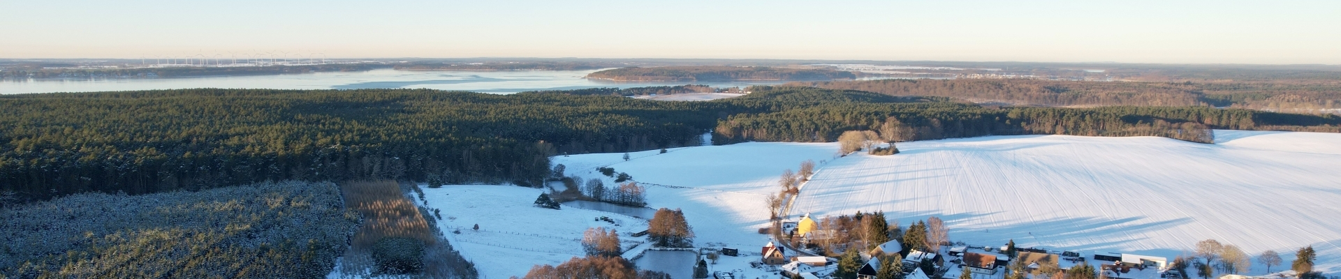 Bannerbild