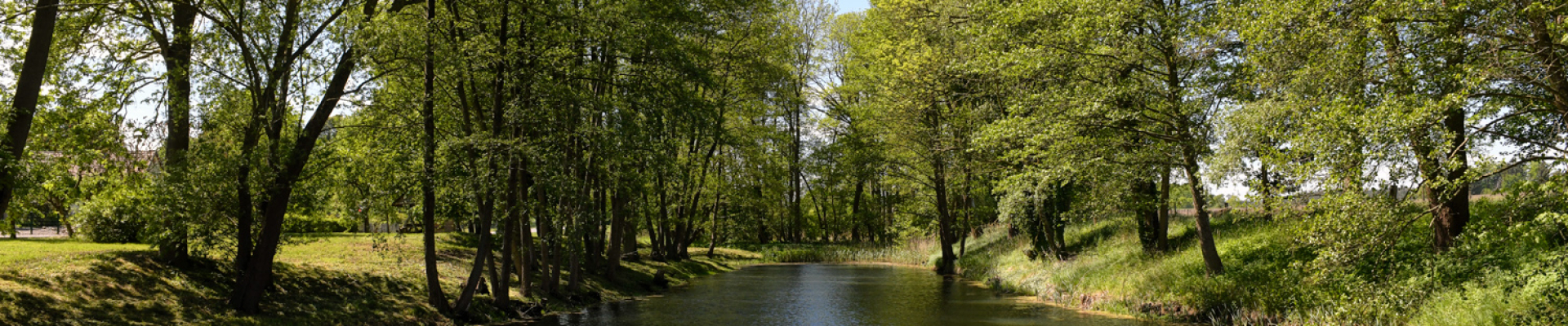 Bannerbild