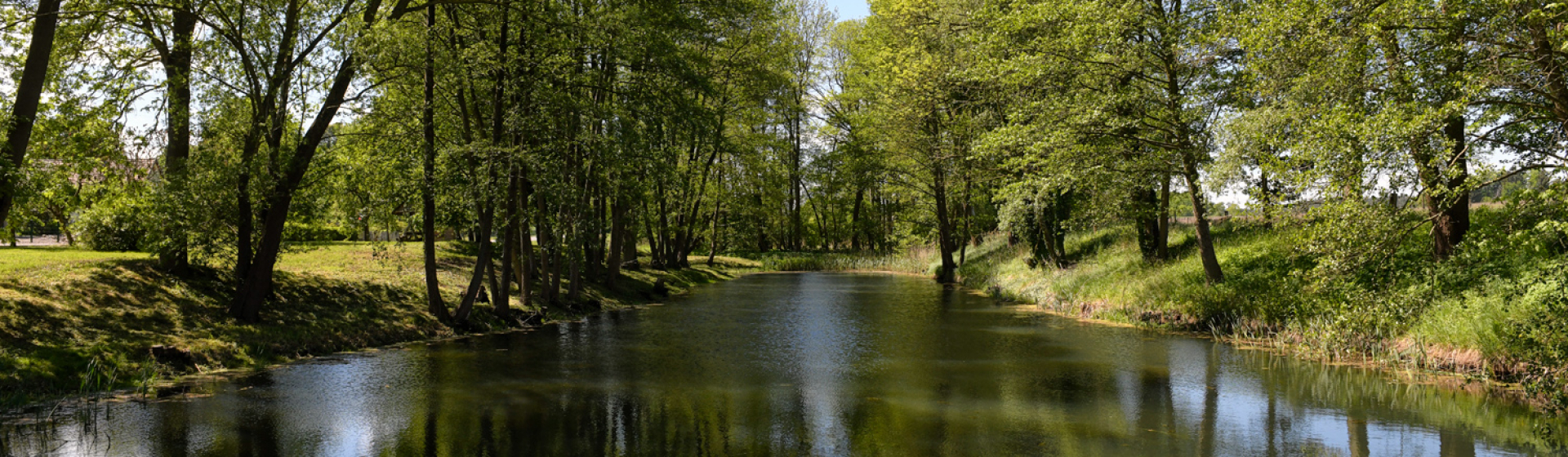 Bannerbild