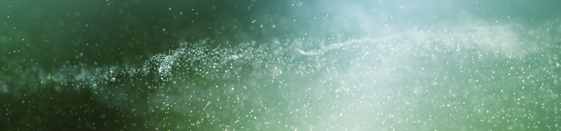 Bannerbild