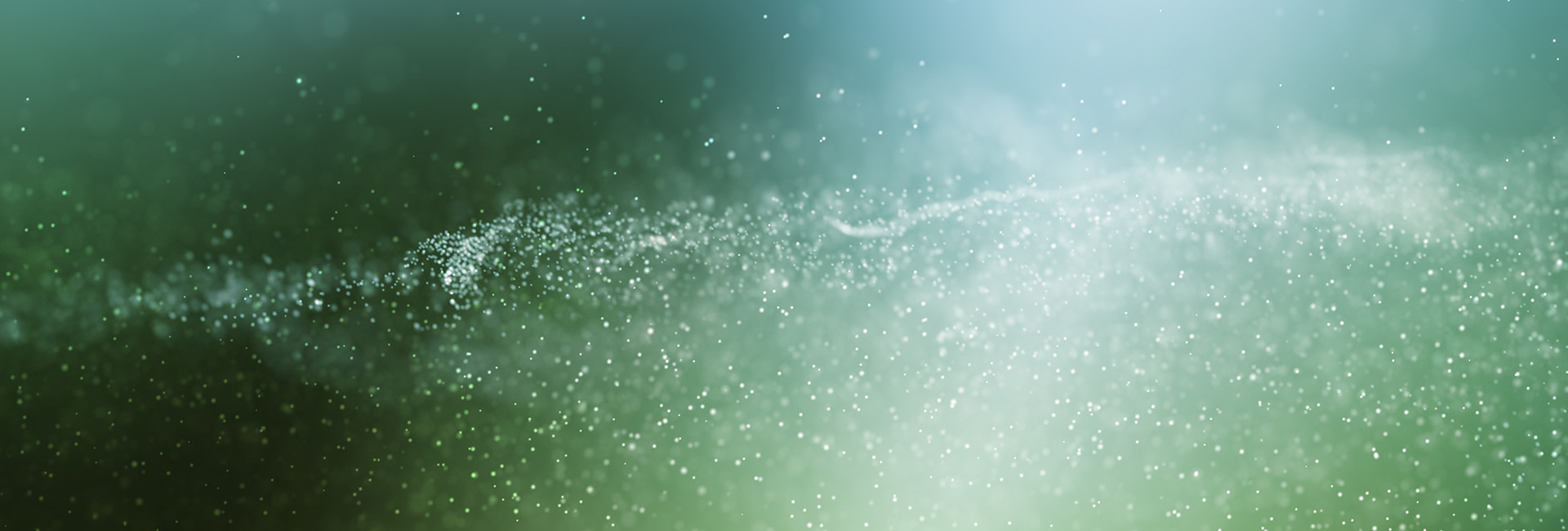 Bannerbild