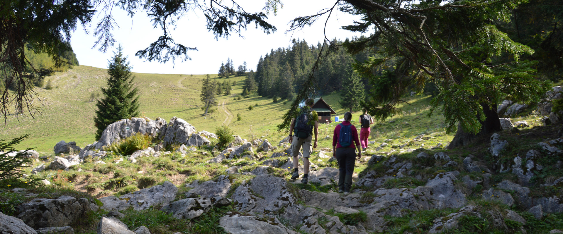 Bannerbild