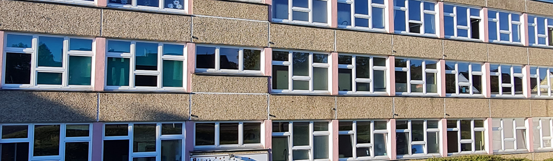Bannerbild
