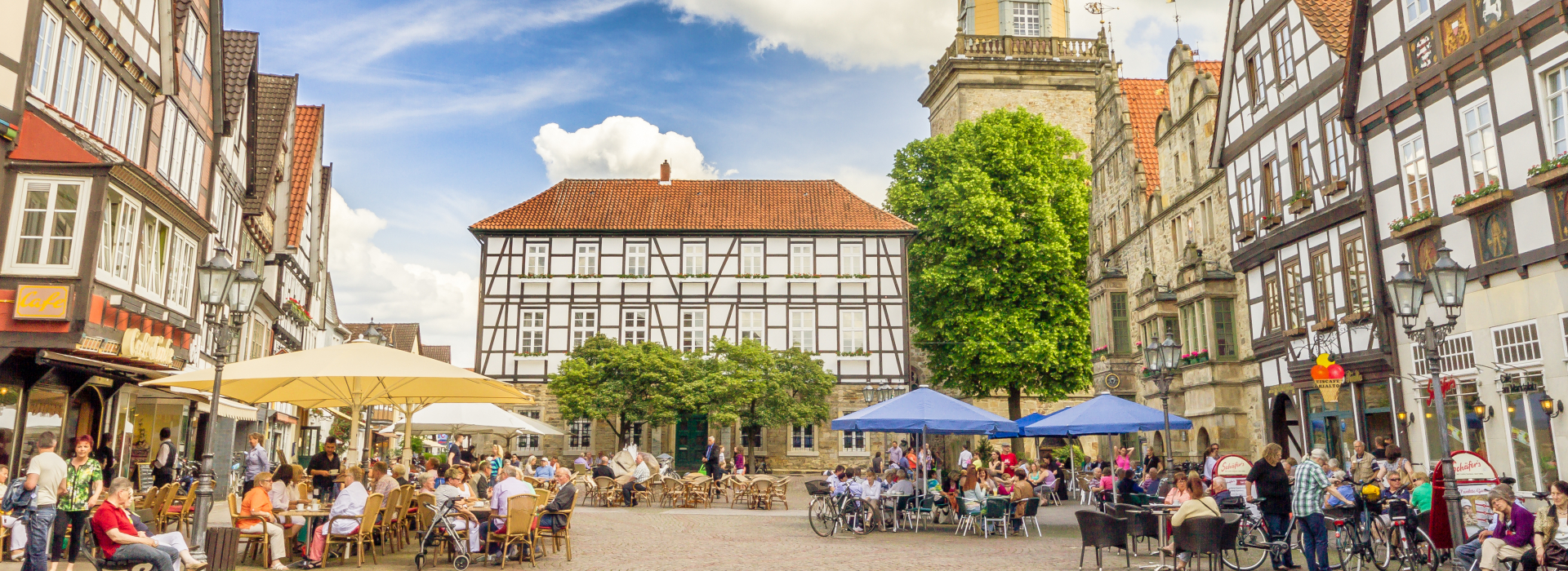 Bannerbild