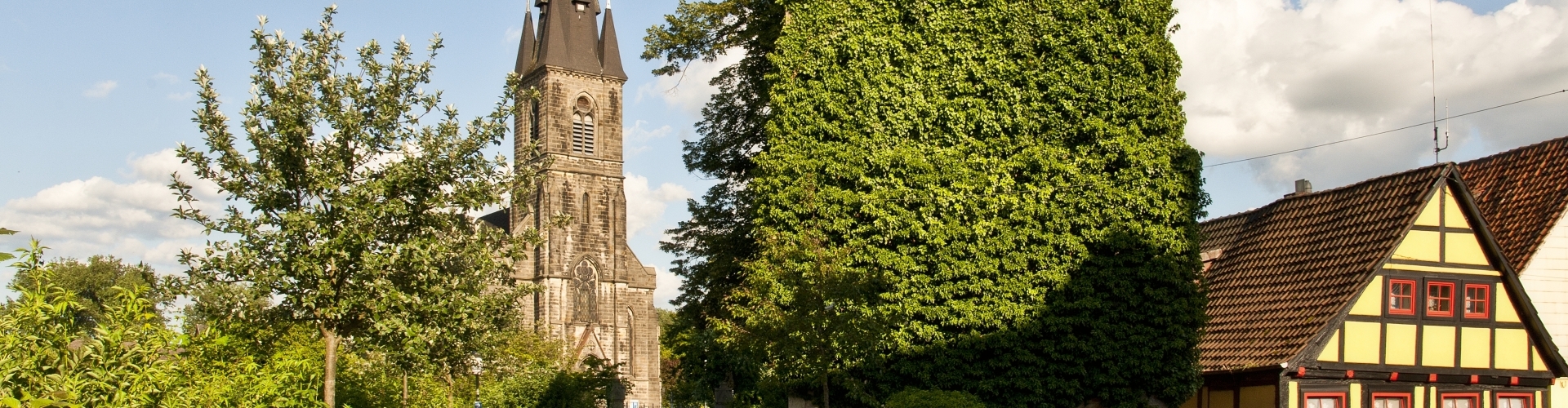 Bannerbild